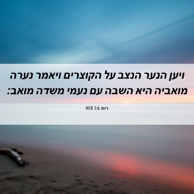 Picture 06 - רות 2:6 HEB - ויען הנער הנצב על הקוצרים - Bible Verse Picture