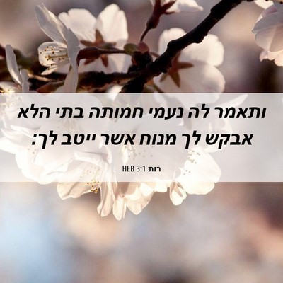 Picture 06 - רות 3:1 HEB - ותאמר לה נעמי חמותה בתי הלא - Bible Verse Picture