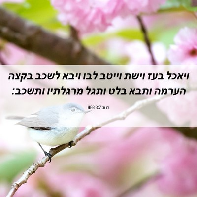 Picture 06 - רות 3:7 HEB - ויאכל בעז וישת וייטב לבו - Bible Verse Picture