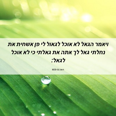 Picture 06 - רות 4:6 HEB - ויאמר הגאל לא אוכל לגאול לי - Bible Verse Picture