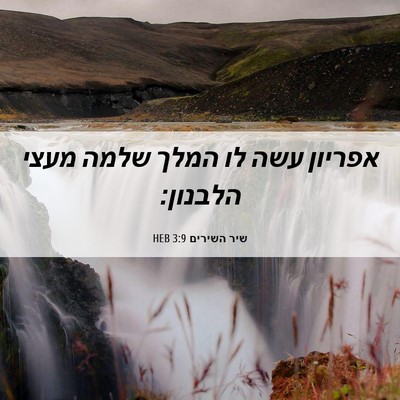 Picture 06 - שיר השירים 3:9 HEB - אפריון עשה לו המלך שלמה - Bible Verse Picture