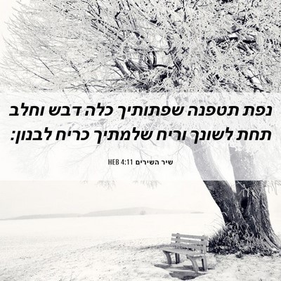 Picture 06 - שיר השירים 4:11 HEB - נפת תטפנה שפתותיך כלה דבש - Bible Verse Picture