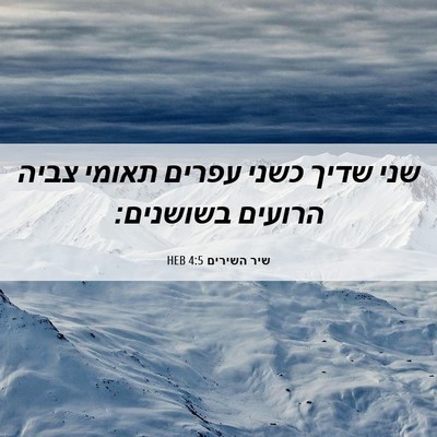 Picture 06 - שיר השירים 4:5 HEB - שני שדיך כשני עפרים תאומי - Bible Verse Picture
