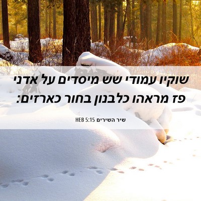 Picture 06 - שיר השירים 5:15 HEB - שוקיו עמודי שש מיסדים על - Bible Verse Picture