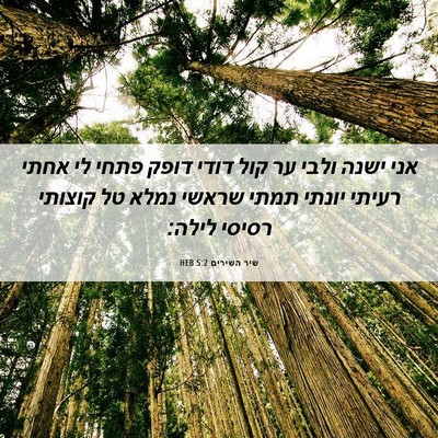 Picture 06 - שיר השירים 5:2 HEB - אני ישנה ולבי ער קול דודי - Bible Verse Picture