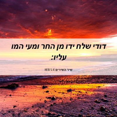 Picture 06 - שיר השירים 5:4 HEB - דודי שלח ידו מן החר ומעי - Bible Verse Picture