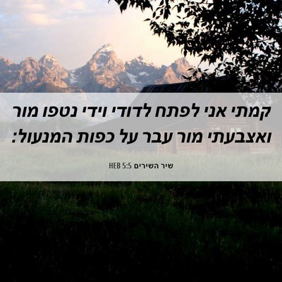 Picture 06 - שיר השירים 5:5 HEB - קמתי אני לפתח לדודי וידי - Bible Verse Picture