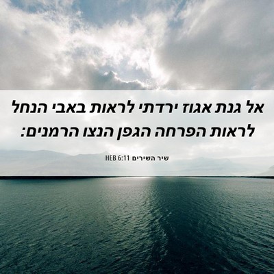 Picture 06 - שיר השירים 6:11 HEB - אל גנת אגוז ירדתי לראות - Bible Verse Picture