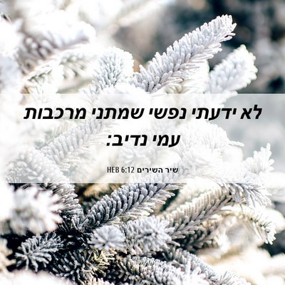 Picture 06 - שיר השירים 6:12 HEB - לא ידעתי נפשי שמתני מרכבות - Bible Verse Picture
