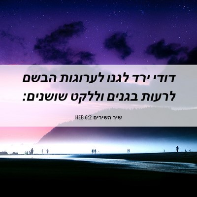 Picture 06 - שיר השירים 6:2 HEB - דודי ירד לגנו לערוגות הבשם - Bible Verse Picture