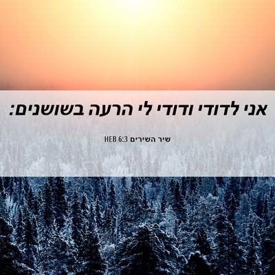 Picture 06 - שיר השירים 6:3 HEB - אני לדודי ודודי לי הרעה - Bible Verse Picture