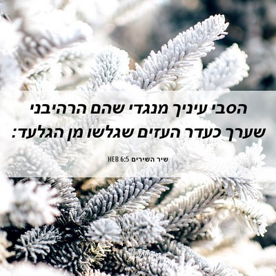 Picture 06 - שיר השירים 6:5 HEB - הסבי עיניך מנגדי שהם - Bible Verse Picture