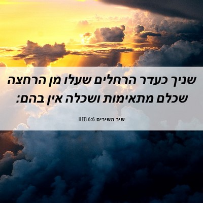 Picture 06 - שיר השירים 6:6 HEB - שניך כעדר הרחלים שעלו מן - Bible Verse Picture