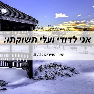 Picture 06 - שיר השירים 7:10 HEB - אני לדודי ועלי - Bible Verse Picture