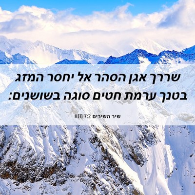 Picture 06 - שיר השירים 7:2 HEB - שררך אגן הסהר אל יחסר המזג - Bible Verse Picture