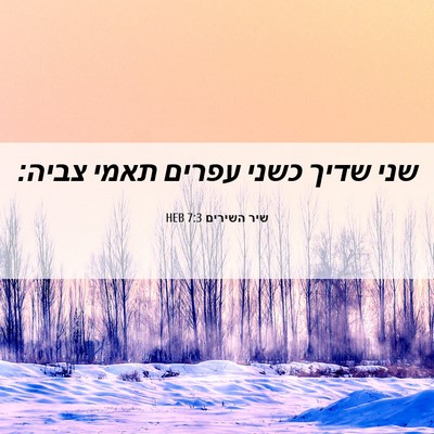 Picture 06 - שיר השירים 7:3 HEB - שני שדיך כשני עפרים תאמי - Bible Verse Picture