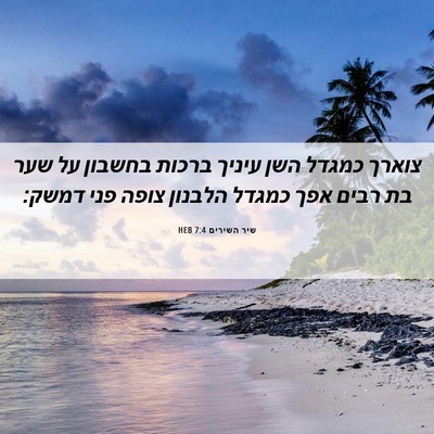 Picture 06 - שיר השירים 7:4 HEB - צוארך כמגדל השן עיניך - Bible Verse Picture