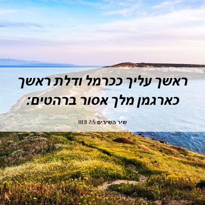 Picture 06 - שיר השירים 7:5 HEB - ראשך עליך ככרמל ודלת ראשך - Bible Verse Picture