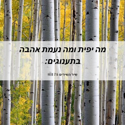 Picture 06 - שיר השירים 7:6 HEB - מה יפית ומה נעמת אהבה - Bible Verse Picture