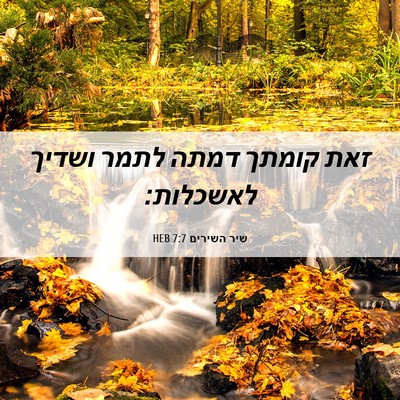 Picture 06 - שיר השירים 7:7 HEB - זאת קומתך דמתה לתמר ושדיך - Bible Verse Picture