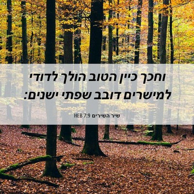 Picture 06 - שיר השירים 7:9 HEB - וחכך כיין הטוב הולך לדודי - Bible Verse Picture