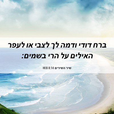 Picture 06 - שיר השירים 8:14 HEB - ברח דודי ודמה לך לצבי או - Bible Verse Picture
