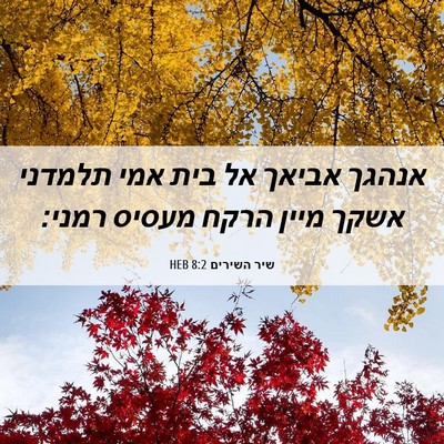 Picture 06 - שיר השירים 8:2 HEB - אנהגך אביאך אל בית אמי - Bible Verse Picture