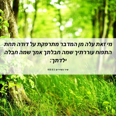 Picture 06 - שיר השירים 8:5 HEB - מי זאת עלה מן המדבר מתרפקת - Bible Verse Picture