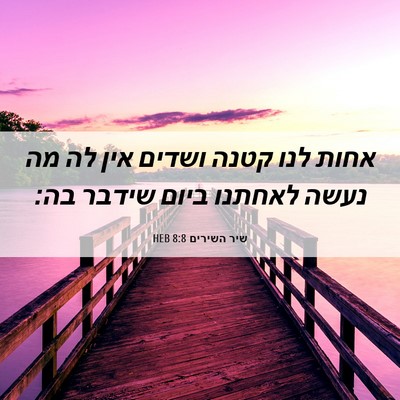Picture 06 - שיר השירים 8:8 HEB - אחות לנו קטנה ושדים אין לה - Bible Verse Picture