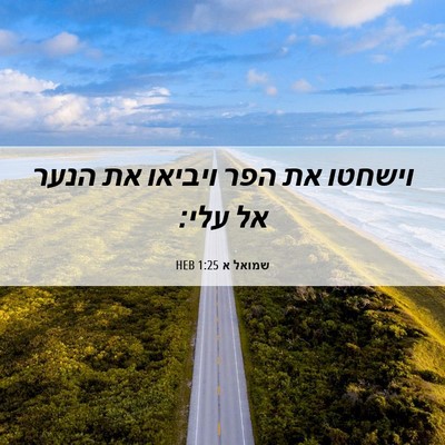 Picture 06 - שמואל א 1:25 HEB - וישחטו את הפר ויביאו את - Bible Verse Picture