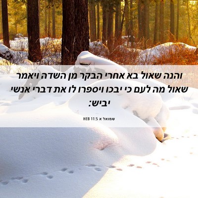 Picture 06 - שמואל א 11:5 HEB - והנה שאול בא אחרי הבקר מן - Bible Verse Picture
