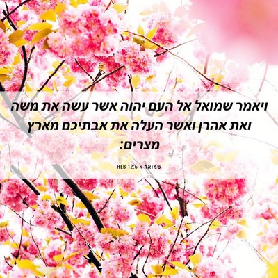 Picture 06 - שמואל א 12:6 HEB - ויאמר שמואל אל העם יהוה אשר - Bible Verse Picture