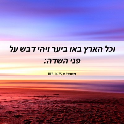 Picture 06 - שמואל א 14:25 HEB - וכל הארץ באו ביער ויהי דבש - Bible Verse Picture