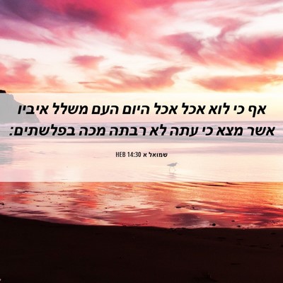 Picture 06 - שמואל א 14:30 HEB - אף כי לוא אכל אכל היום העם - Bible Verse Picture