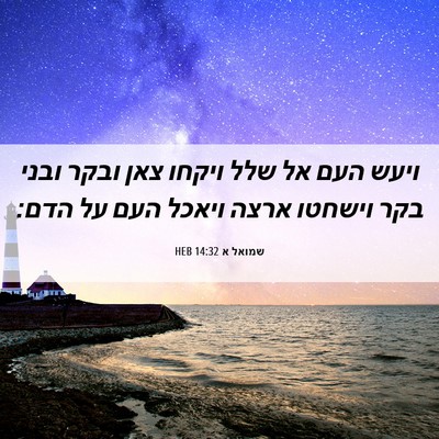 Picture 06 - שמואל א 14:32 HEB - ויעש העם אל שלל ויקחו צאן - Bible Verse Picture