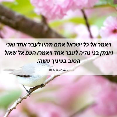 Picture 06 - שמואל א 14:40 HEB - ויאמר אל כל ישראל אתם תהיו - Bible Verse Picture