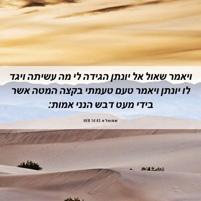 Picture 06 - שמואל א 14:43 HEB - ויאמר שאול אל יונתן הגידה - Bible Verse Picture