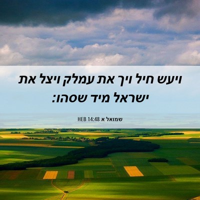 Picture 06 - שמואל א 14:48 HEB - ויעש חיל ויך את עמלק ויצל - Bible Verse Picture