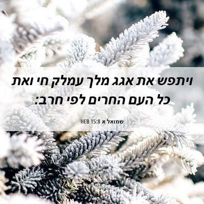 Picture 06 - שמואל א 15:8 HEB - ויתפש את אגג מלך עמלק חי - Bible Verse Picture