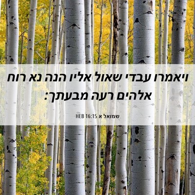 Picture 06 - שמואל א 16:15 HEB - ויאמרו עבדי שאול אליו הנה - Bible Verse Picture