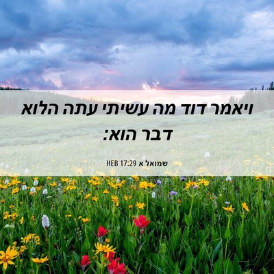 Picture 06 - שמואל א 17:29 HEB - ויאמר דוד מה עשיתי עתה הלוא - Bible Verse Picture