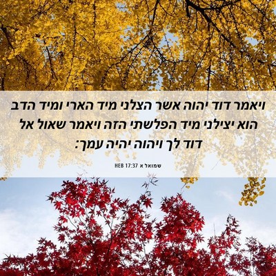 Picture 06 - שמואל א 17:37 HEB - ויאמר דוד יהוה אשר הצלני - Bible Verse Picture