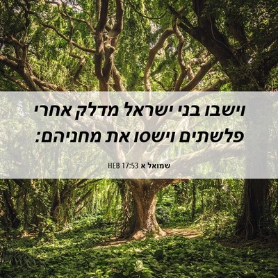 Picture 06 - שמואל א 17:53 HEB - וישבו בני ישראל מדלק אחרי - Bible Verse Picture