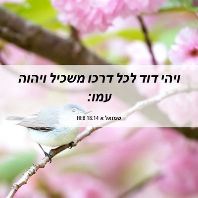 Picture 06 - שמואל א 18:14 HEB - ויהי דוד לכל דרכו משכיל - Bible Verse Picture