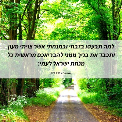 Picture 06 - שמואל א 2:29 HEB - למה תבעטו בזבחי ובמנחתי - Bible Verse Picture