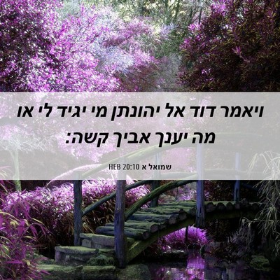 Picture 06 - שמואל א 20:10 HEB - ויאמר דוד אל יהונתן מי יגיד - Bible Verse Picture