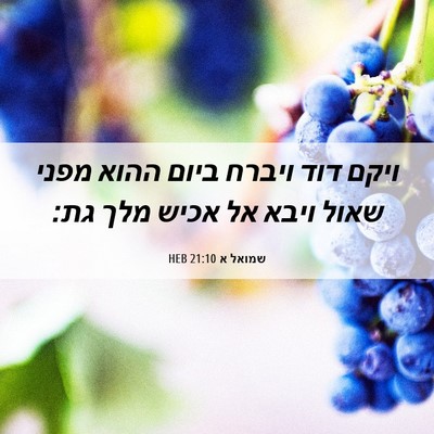 Picture 06 - שמואל א 21:10 HEB - ויקם דוד ויברח ביום ההוא - Bible Verse Picture