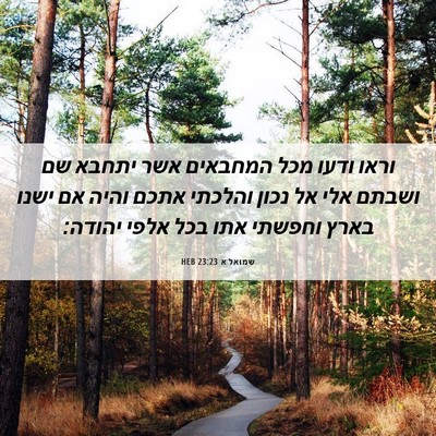 Picture 06 - שמואל א 23:23 HEB - וראו ודעו מכל המחבאים אשר - Bible Verse Picture