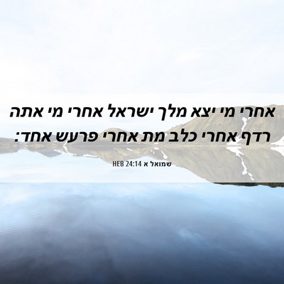 Picture 06 - שמואל א 24:14 HEB - אחרי מי יצא מלך ישראל אחרי - Bible Verse Picture