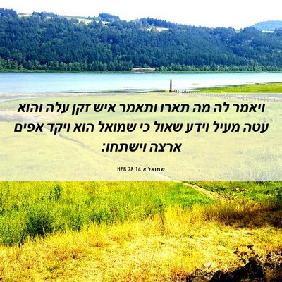 Picture 06 - שמואל א 28:14 HEB - ויאמר לה מה תארו ותאמר איש - Bible Verse Picture